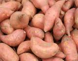 Health Benefits Of Sweet Potato
