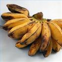 Tips On How To Ripen Bananas