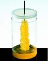 How To Make Rock Candy On A Stick
