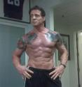 Following Stallones Diet or a Stallion Diet