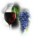 Top 10 Grape Varieties Used For Wine Making