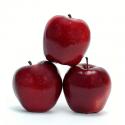 Top 10 Apple Dessert Recipe Ideas