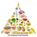 What Foods Can I Eat On The Atkins Diet?