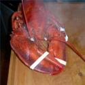 How To Cook Frozen Lobster