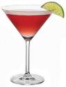 Top 10 Popular Vodka Cocktail Recipes