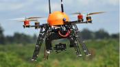 Peta Building A Drone Army To Catch Culprits