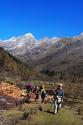 What Foods To Carry While Going On Hiking