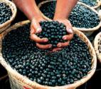 Power Super Foods