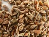 Health Benefits Of Aniseed