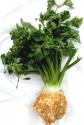 Is Celeriac Vegetable World's Ugly Duckling?