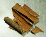 Herbal Remedies For Pancreatitis