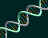 Repair Your Damaged DNA With These Foods 