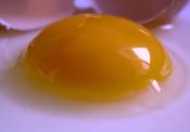Is It Safe To Eat Eggs During Pregnancy?