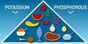 Which Foods To Avoid When You Have Kidney Problem