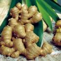 Ginger Substitutes