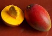 Mango Medicinal Uses
