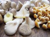 Top 10 Vitamin B5 Rich Foods For Children