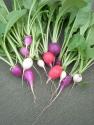 How To Use Radish For Skin Care