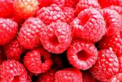 Is It Safe To Eat Raspberry During Pregnancy?