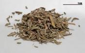 Thyme Leaf Benefits