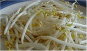 Health Benefits of Bean Sprouts
