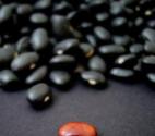 Black Bean Menu