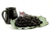 Black Berries Health Benefits