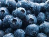 Blueberry Capsule Benefits