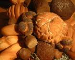 How Important Is Bread In Daily Life
