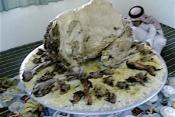 Amazing Food Facts: Believe It Or Not!