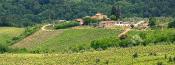 Chianti Wine Tour
