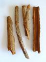 Herbal Remedies For Malaria.