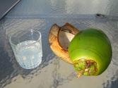 What Is The Difference Between Coconut Water & Juice