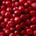 Is It Safe To Eat Cranberries During Pregnancy?