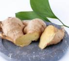 Herbal Remedies For Interstitial Cystitis