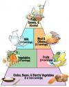 Type 2 Diabetes Diet Exercise