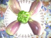 Eggplant Allergy-causes, Symptoms, And Cure  