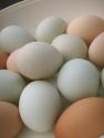 When To Eat Eggs