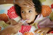 Herbal Remedies For Fever