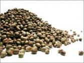 Hemp Seeds Health Benefits