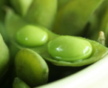 Supplements For Breast Cancer