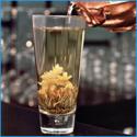 What Are The Benefits Of Jasmine Green Tea