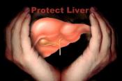 Herbal Remedies For Liver
