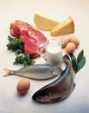 Which Are The Natural High Protein Foods	
