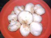 How To Fight Mushroom Addiction