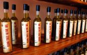 Veggie oilsThe good, The bad, and The Scary