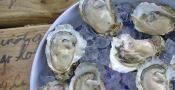 Major Food Festivals January 2012: Oyster Cook-Off At Apalachicola  