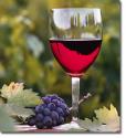 Margaret River Wine Tour