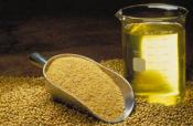  Soybean Oil For Hair Care