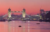 London To Become World's First Sustainable Fish City